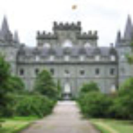 Jo Floor Pork Back-Bone Stew